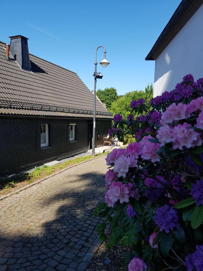 Ferienwohnung Pilgrims Elfriede- freundliche Unterkunft Remblinghausen Exterior foto